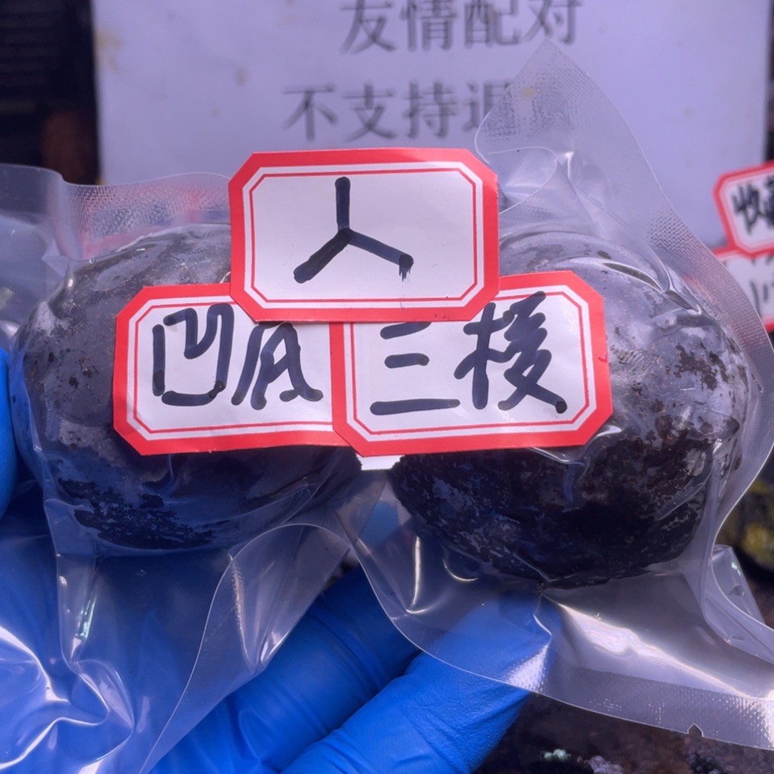 高***灬把件文玩核桃文玩任赵