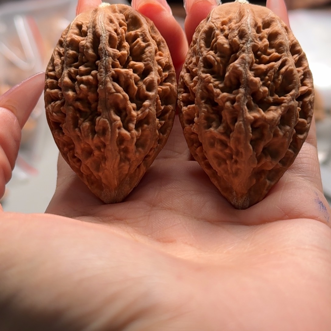 文玩核桃把件关东木子楸百核100