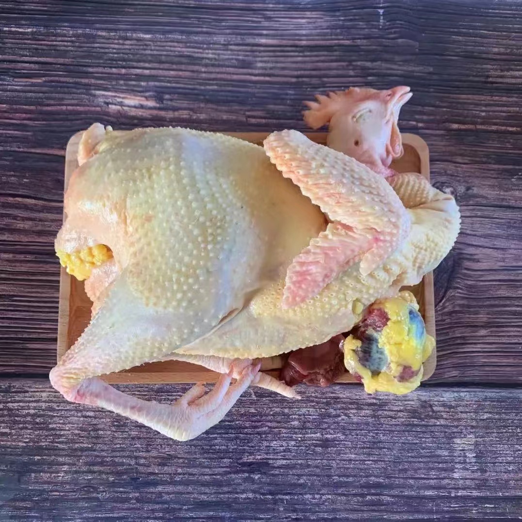 大飞散养一年黄油老母鸡净重2KG左右