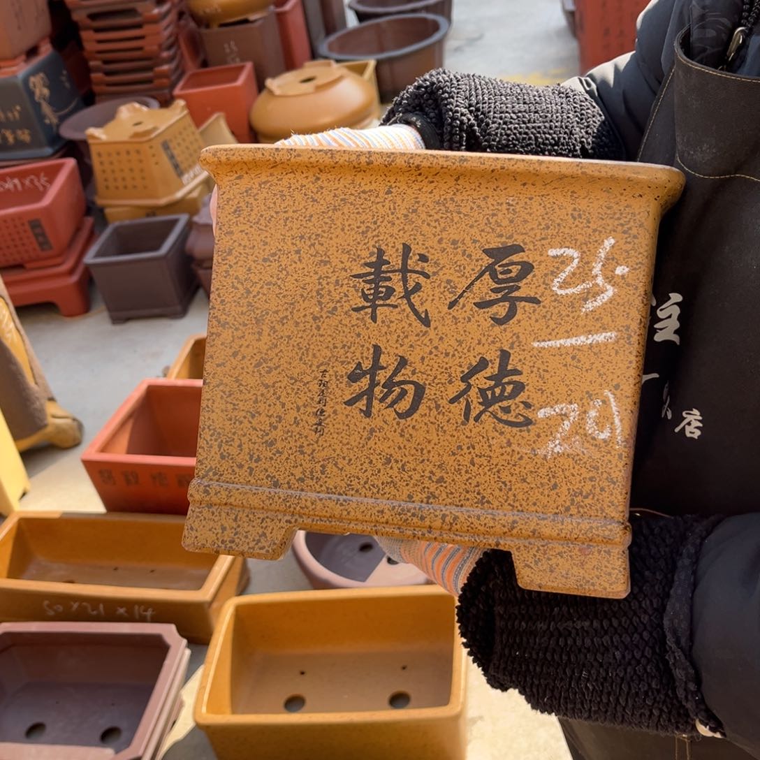 紫砂花盆盆景艺术