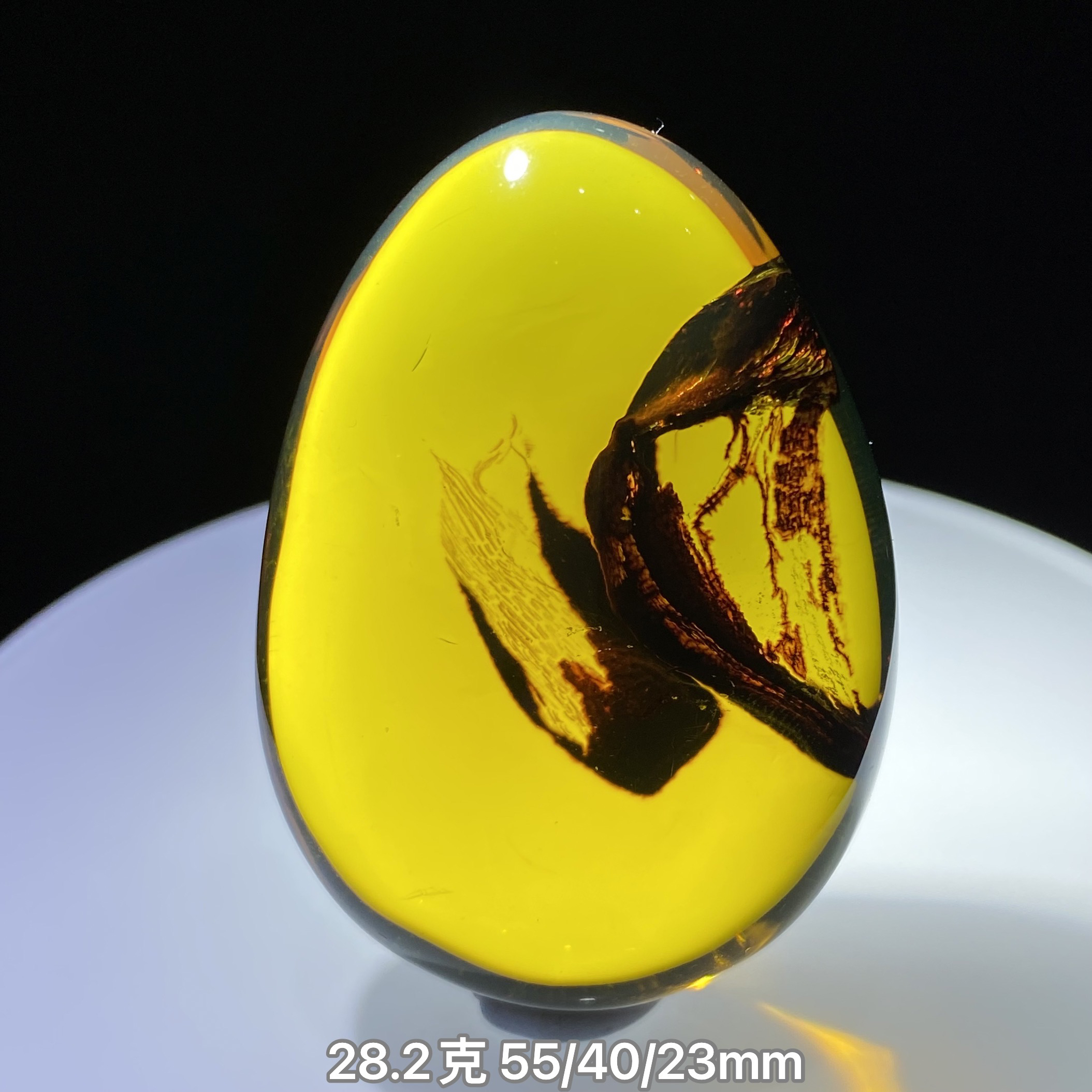 【小伊琥珀】28.2克金底植物珀水滴蛋面