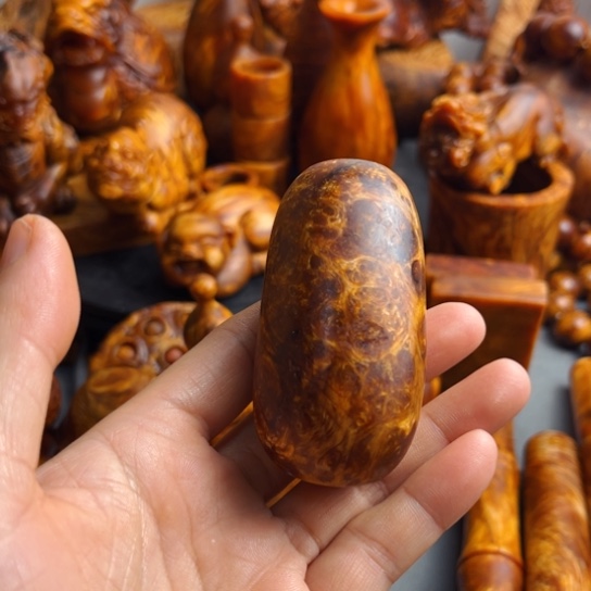 松木（琥珀木）其他