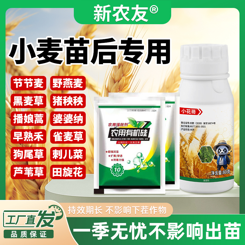 新小麦苗后专用安全型不伤麦苗厂家直销农用有机硅助剂