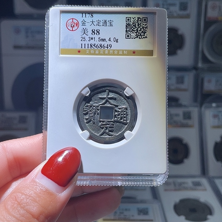 铜轩缘 白铜大定通宝编号8649