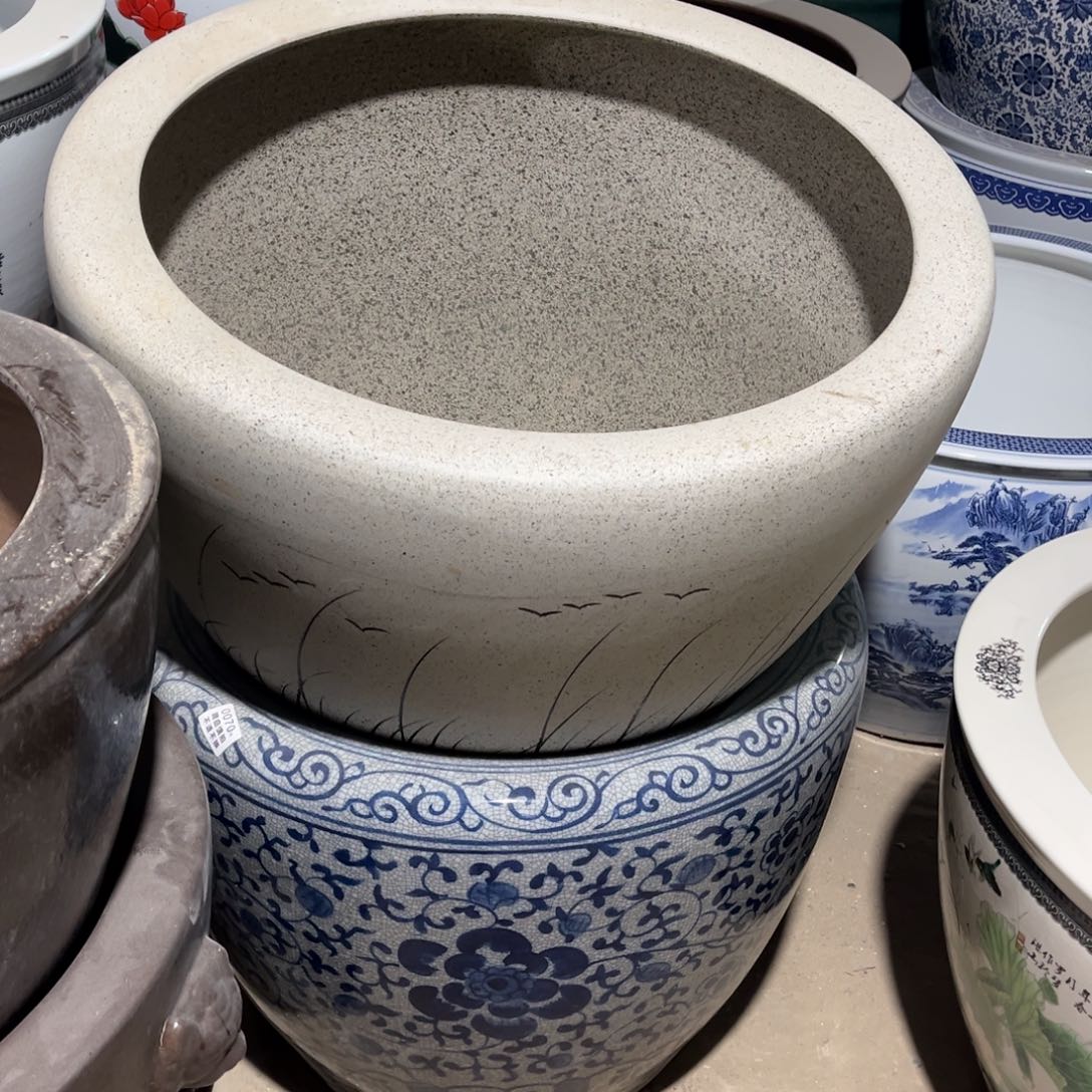 瓷片白芦苇6099999999999