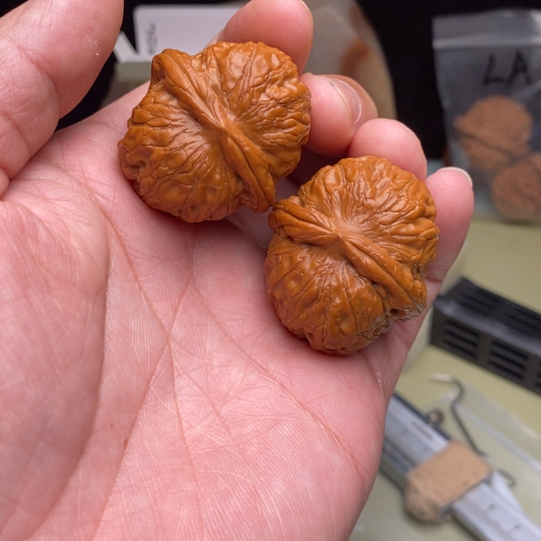 我***兵桃核吊坠39平谷元宝