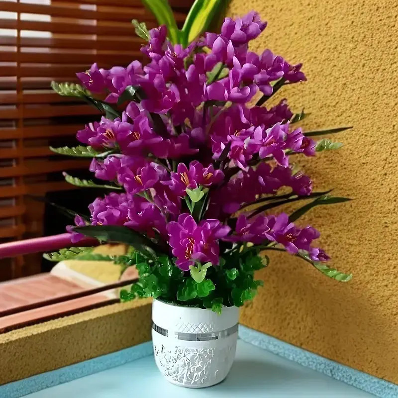 【四季开花】新品晚香玉球根驱蚊四季开花重瓣大花浓香型大花卉盆栽