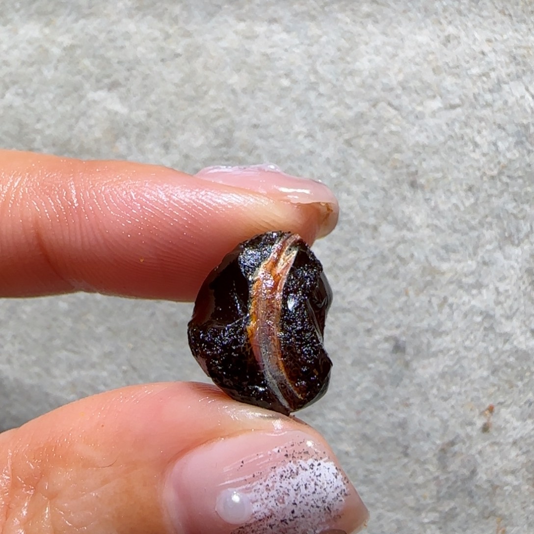 呼***啦定制琥珀未镶嵌专拍