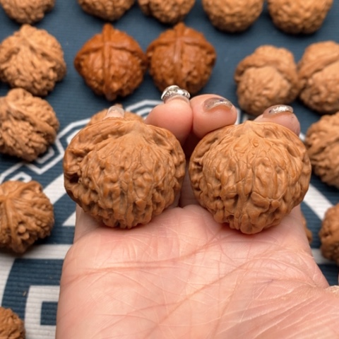 橄榄核手串/手链黑金刚38