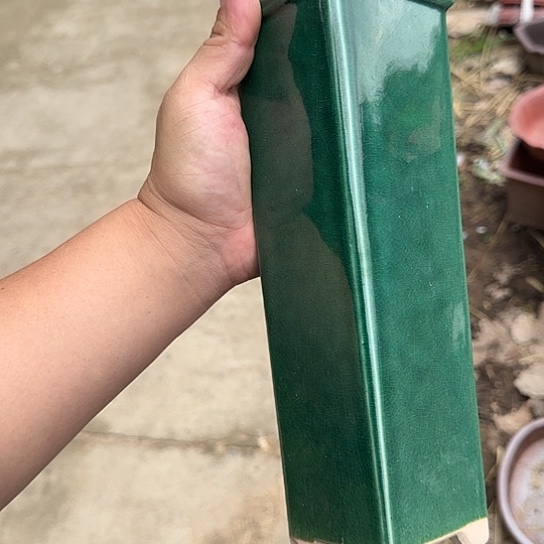 是一个集休闲农业生产开发的园区的