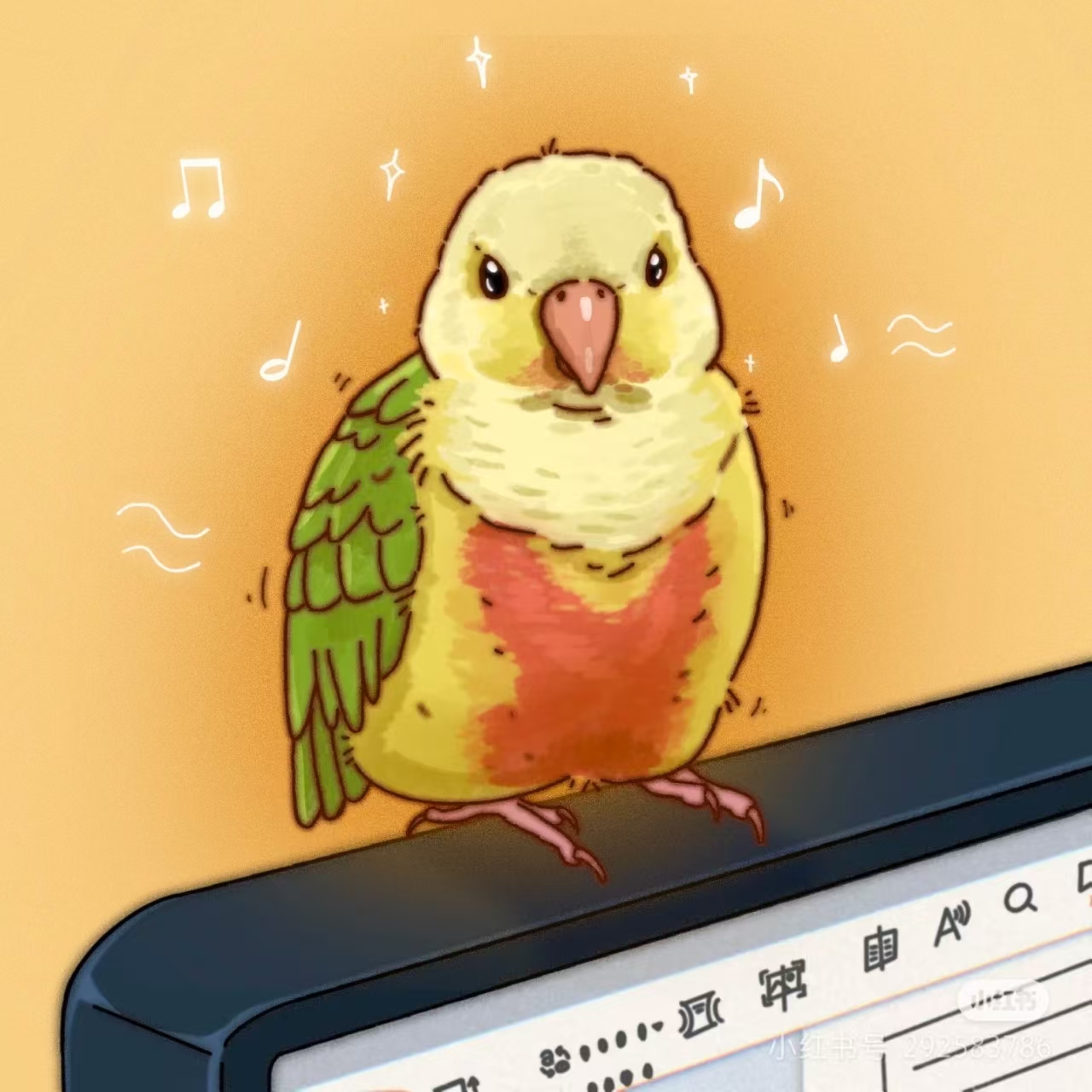 手养亲人鹦鹉活体