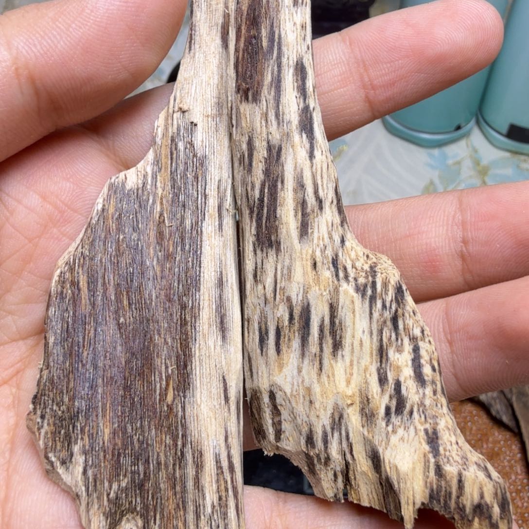 香榧木海南尖峰岭8.9克木坯料