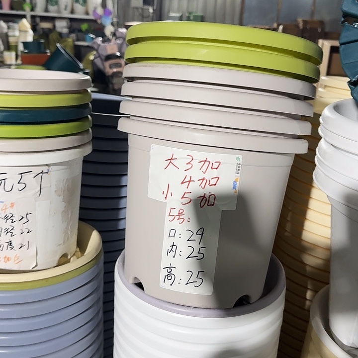 四季5#口径29灰白10个无托