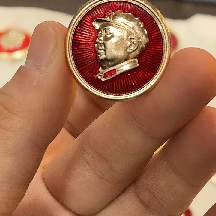 金***河像章一一一一一一一高贵轻