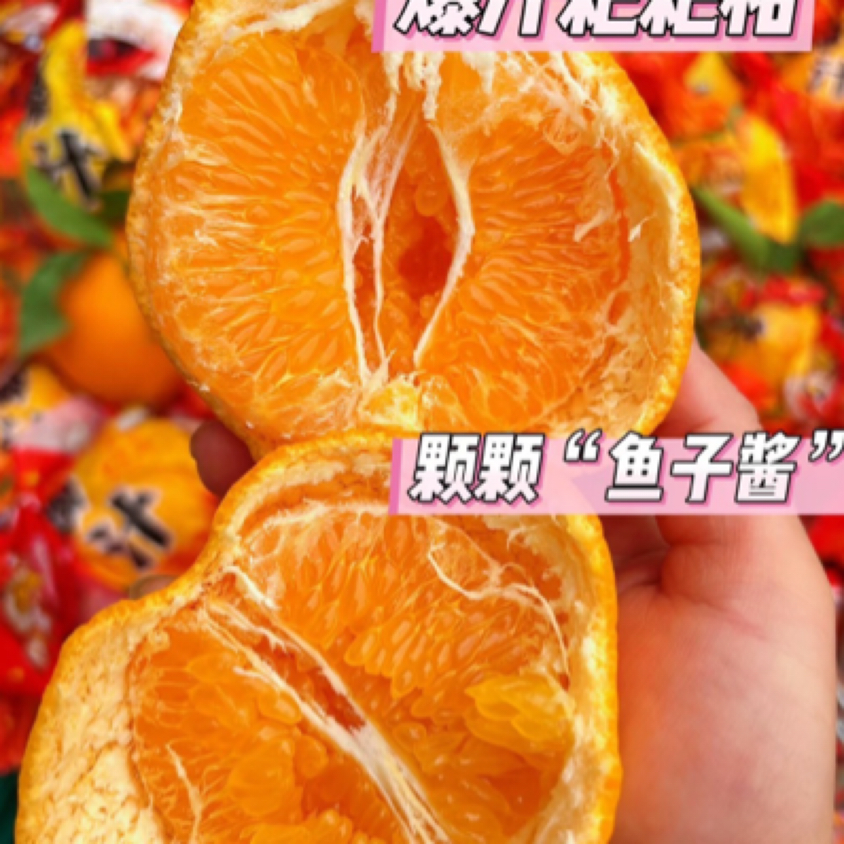 春见爆浆耙耙柑（约3斤）净果四川省
