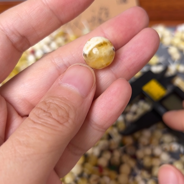 蜜蜡未镶嵌裸石13.1mm一个