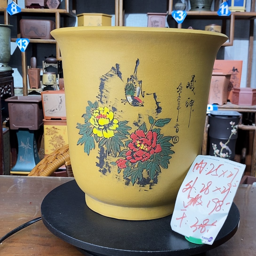 花盆紫砂阳光老师超大金钟微瑕
