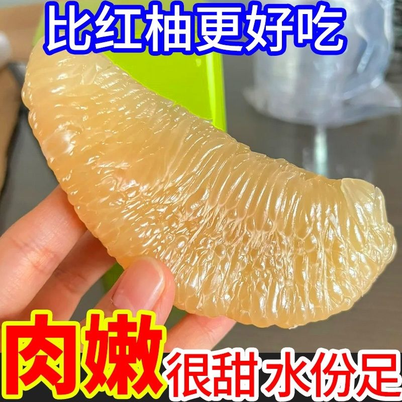 Y-【老树精品果】福建平和白心蜜柚白柚孕妈妈新鲜水果非红心文旦柚