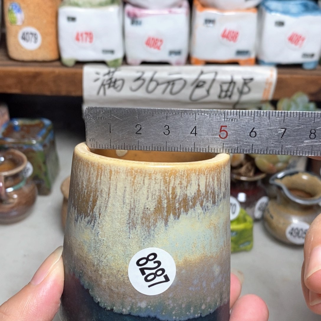 拍5送一个9.9元的盆