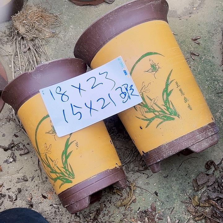 花盆紫砂11111111