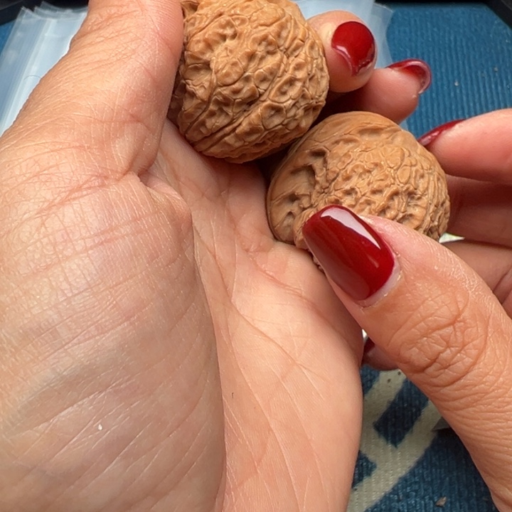 桃核吊坠文玩雪麒麟