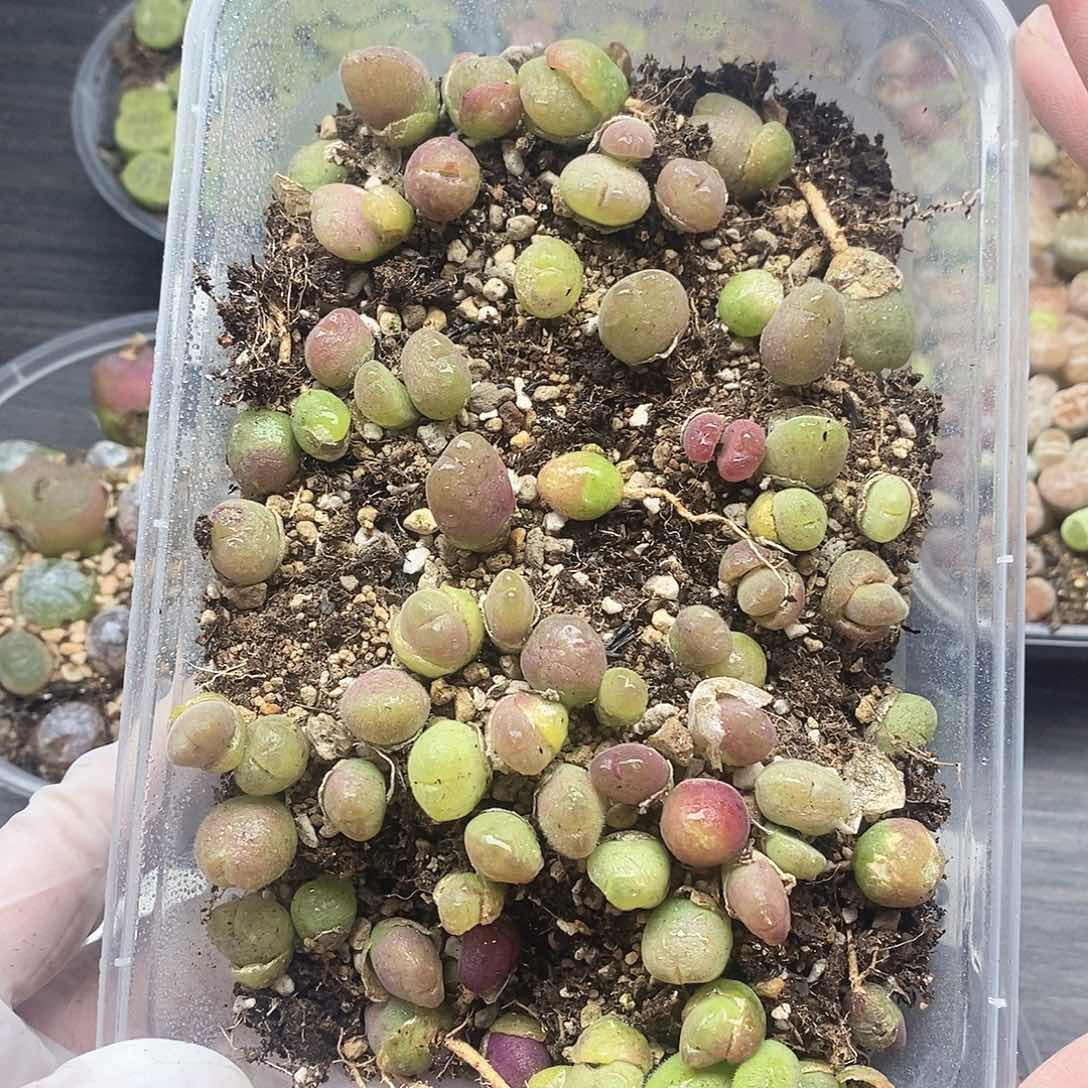 45快快乐乐健健康康