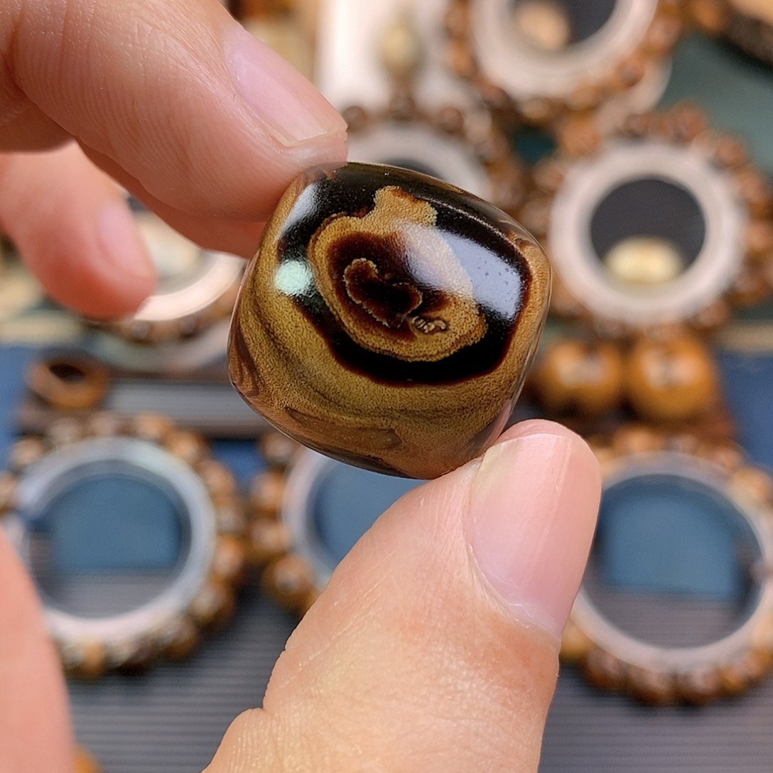 安南黄檀（紫檀柳）22