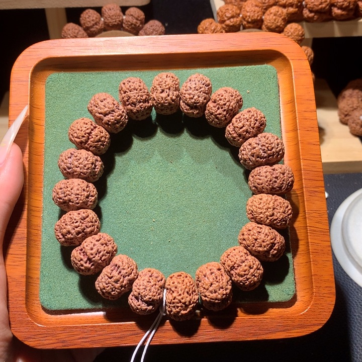 金刚菩提手串20+龙蛭终结者