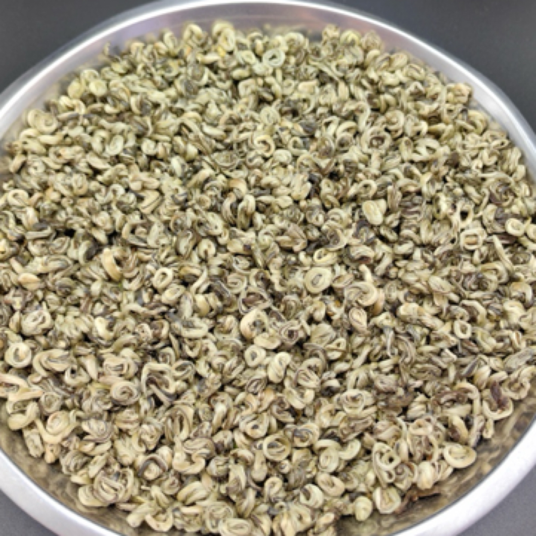 【2025年】新茶*茉莉玉螺王 浓香耐泡 回甘醇厚