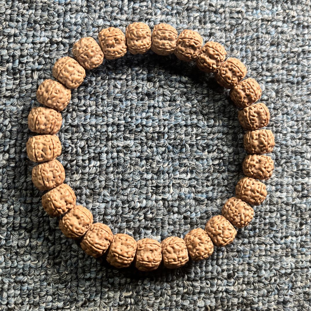 【木木金刚菩提】龙切极限弧玉菩提梅花（老树料不嫁接不做色）