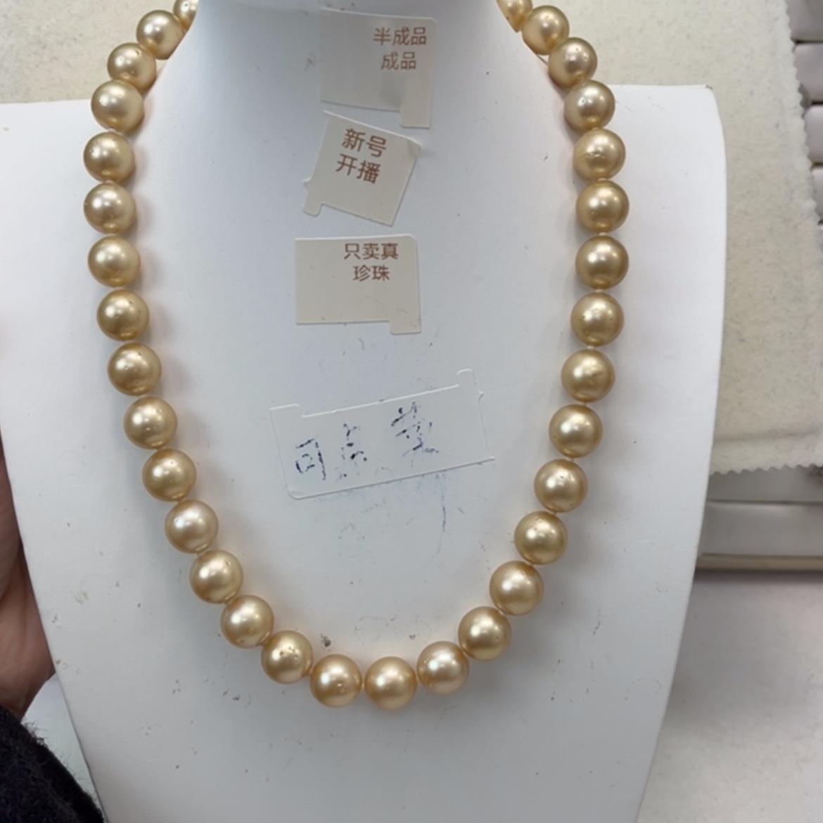 【闪购商品】海水珍珠颈饰未镶嵌