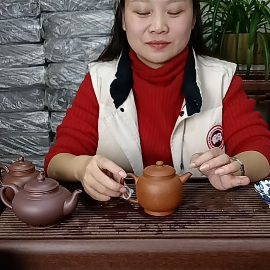 茶杯紫砂宜兴紫砂壶