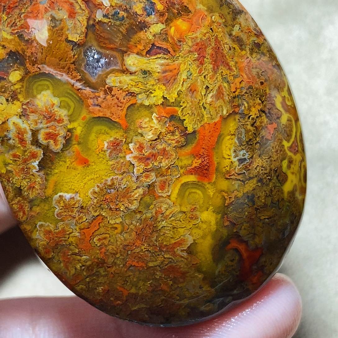 玛瑙/玉髓颈饰未镶嵌捞**鱼