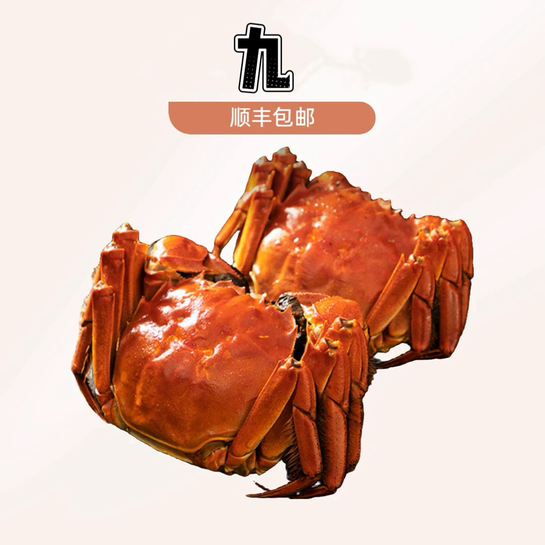 10号【公】活蟹微残全公蟹5只3两5起公蟹顺丰包邮死蟹包赔