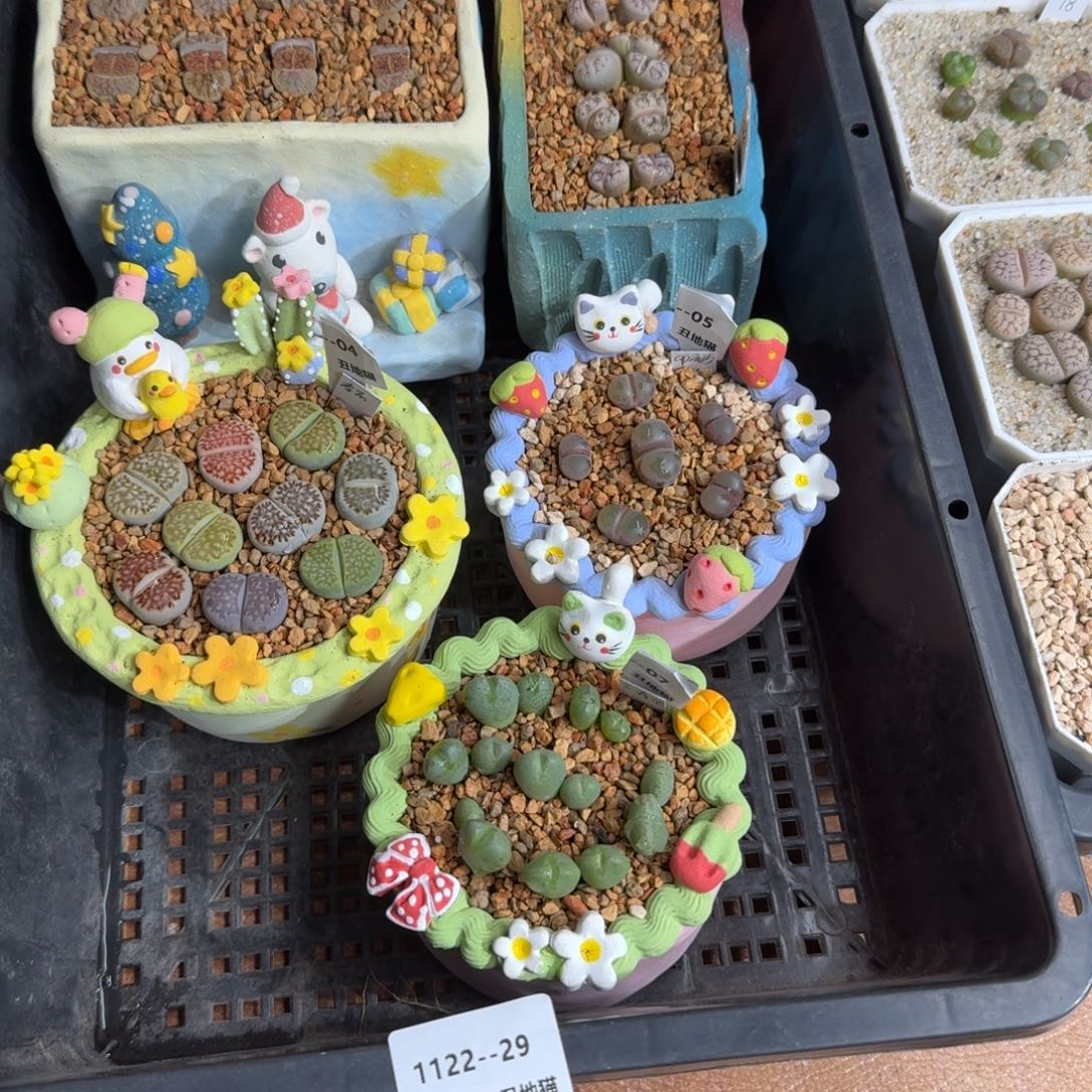 鲸***喜1122，029盆盆盆盆盆