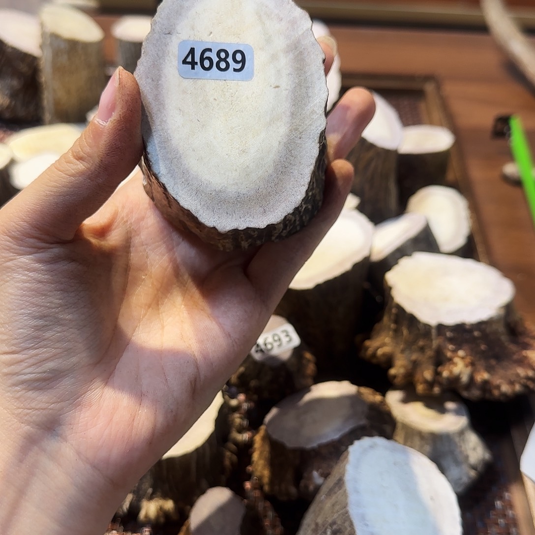 手串/手链鹿骨4689根段