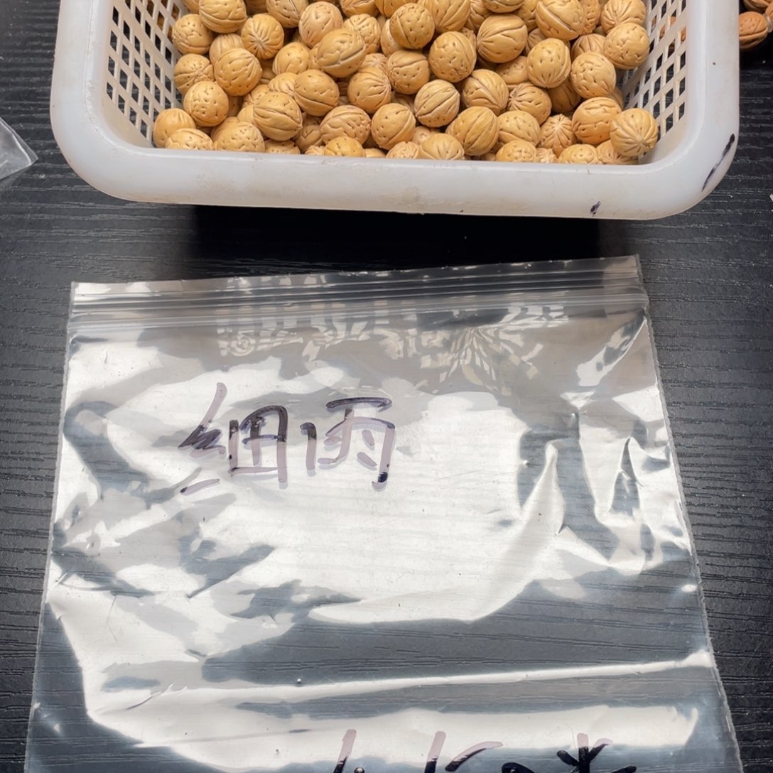 细***风核桃手串/手链小桃核散籽批发450