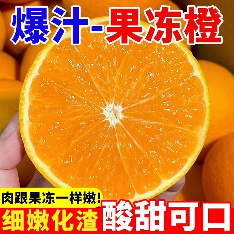 四川眉山爱媛38号果冻橙新鲜当季水果细嫩多汁香甜爆汁小琴