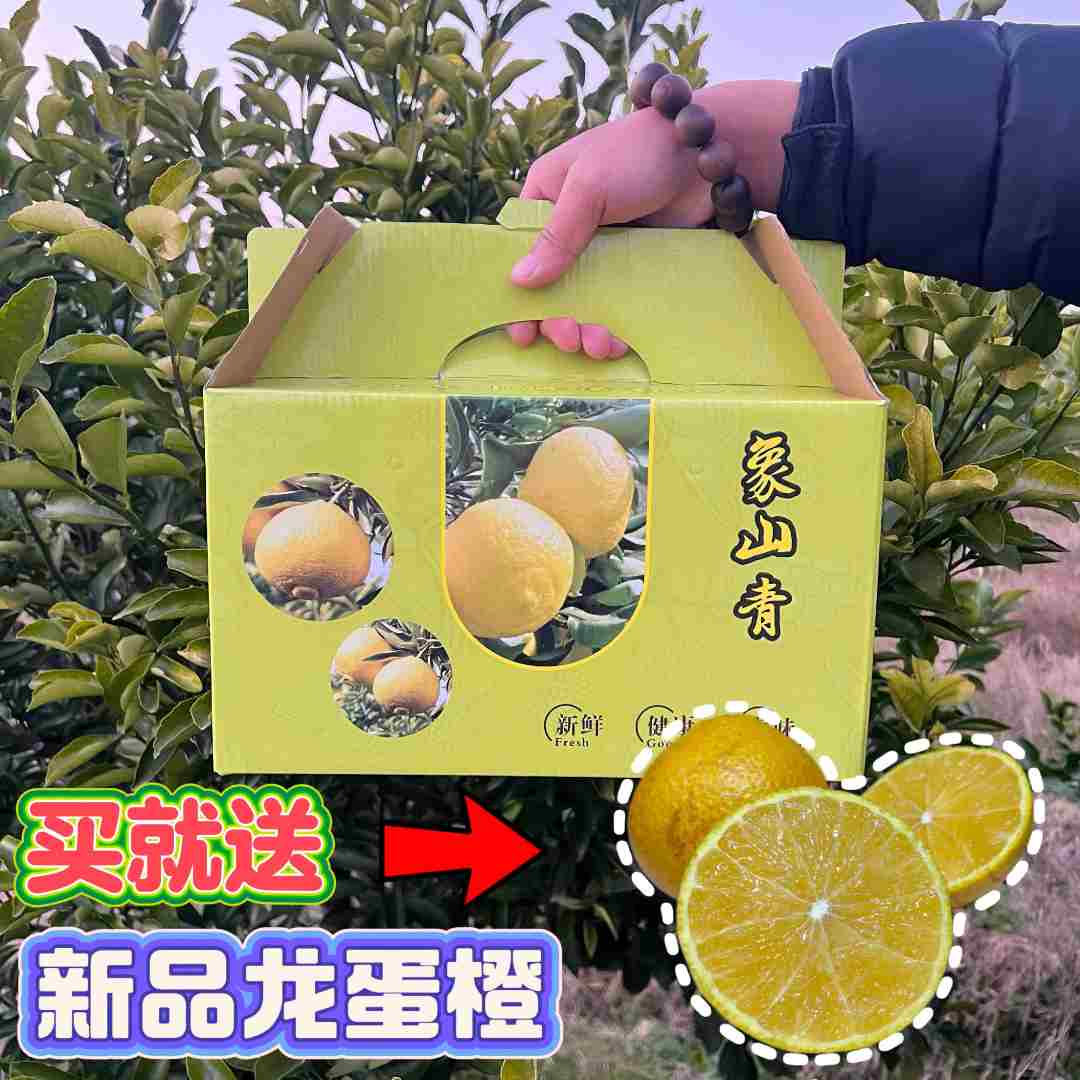 【性价比推荐-顺丰次日达】到手净重4斤-高品质正宗象山青原产地直发青甜多汁+送龙蛋橙
