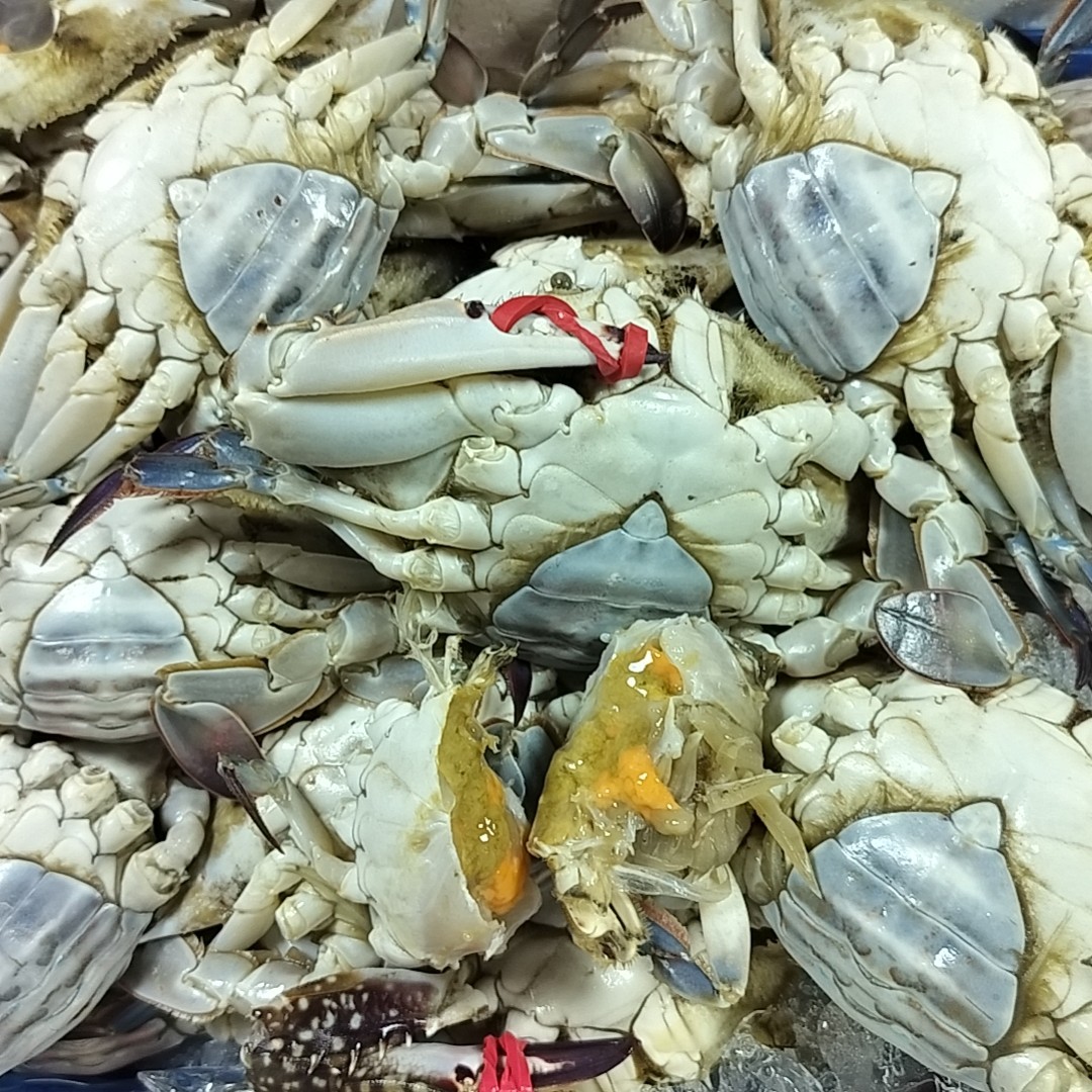 海蟹（刚牺牲的）有黄有肉三斤装，一斤2/4个