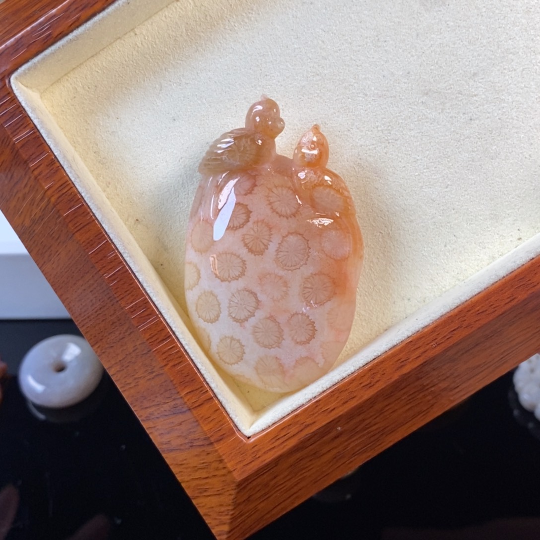 硅化珊瑚（珊瑚玉）未镶嵌颈饰福利800