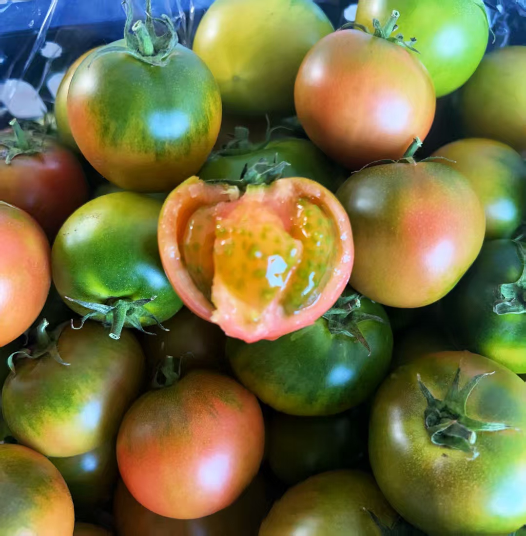 正宗盘锦碱地柿子5斤大果 顺丰包邮