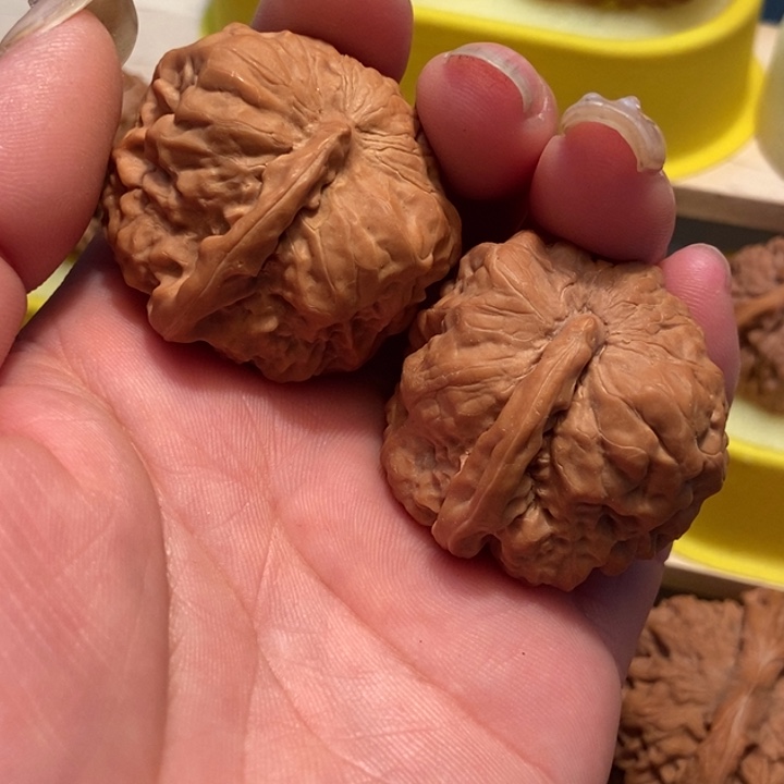 官方网站发布消息