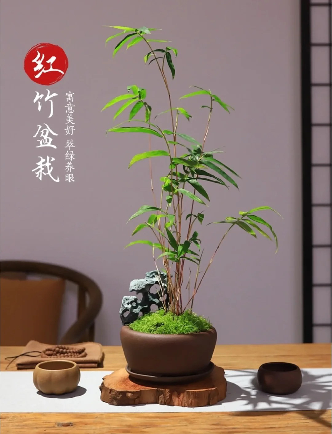 【直播间一物一拍】链接 红观音竹 以直播间实物为准