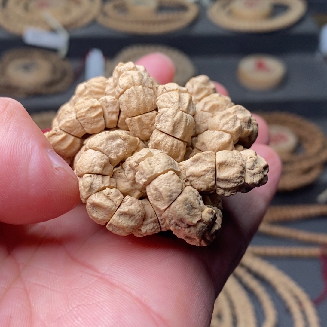 柏香籽/百香籽手串