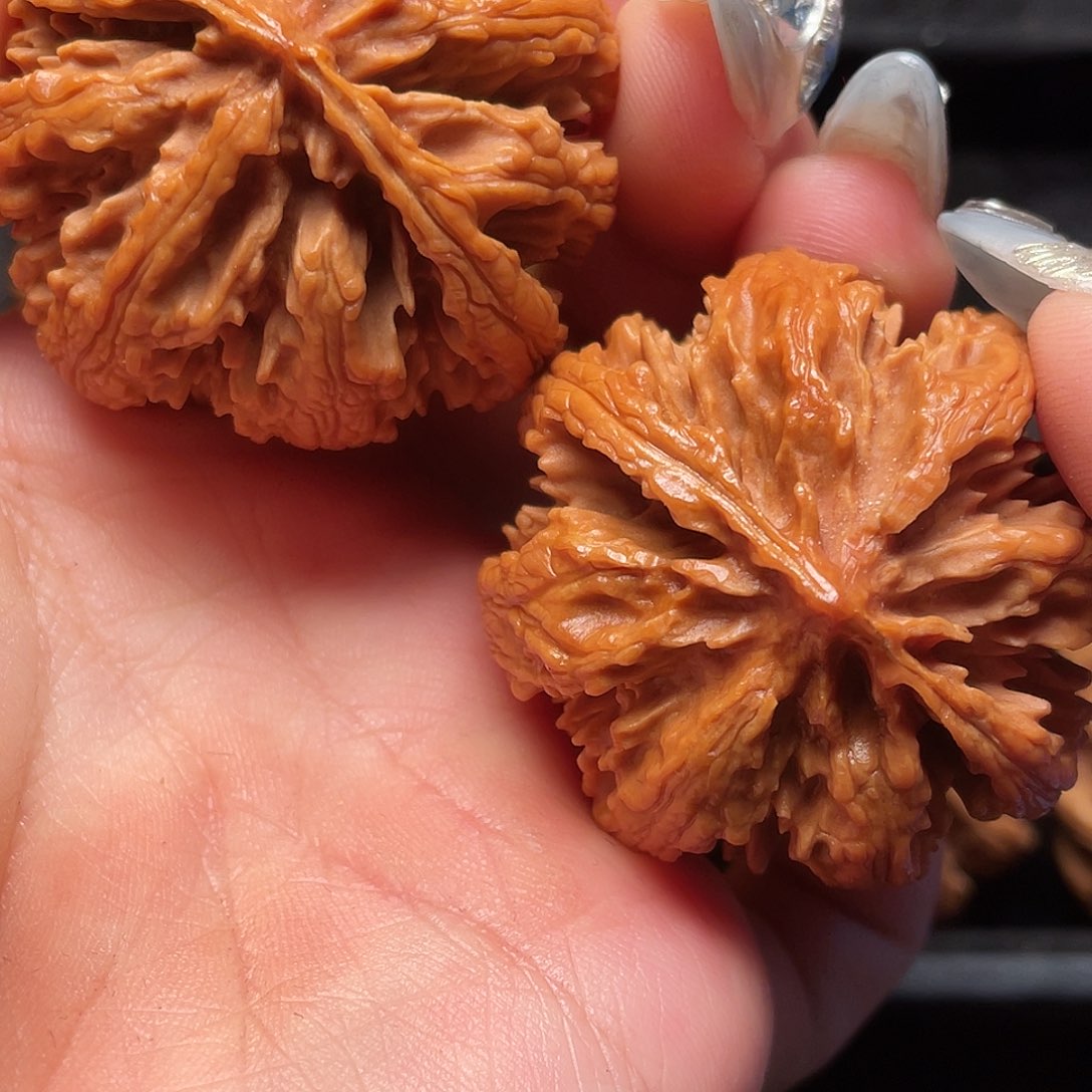 文玩核桃把件秦岭山脉核桃