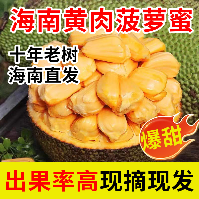 海南新鲜现摘干苞黄肉菠萝蜜 8--40斤热带水果（确认生熟再食用）