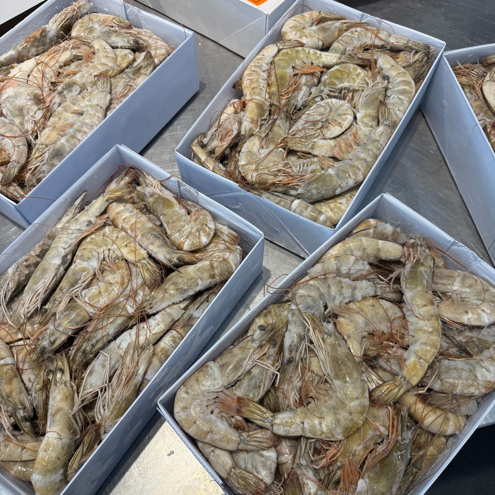 【盐冻大虾】30 40规格 保证高品质 肉质鲜嫩