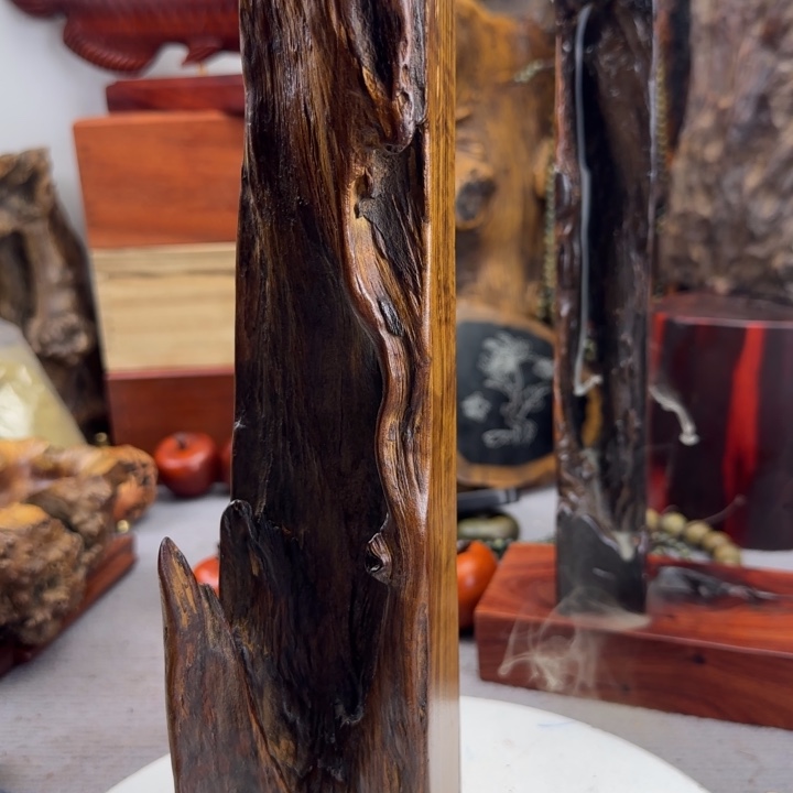 大果紫檀（缅甸花梨）仲**忙