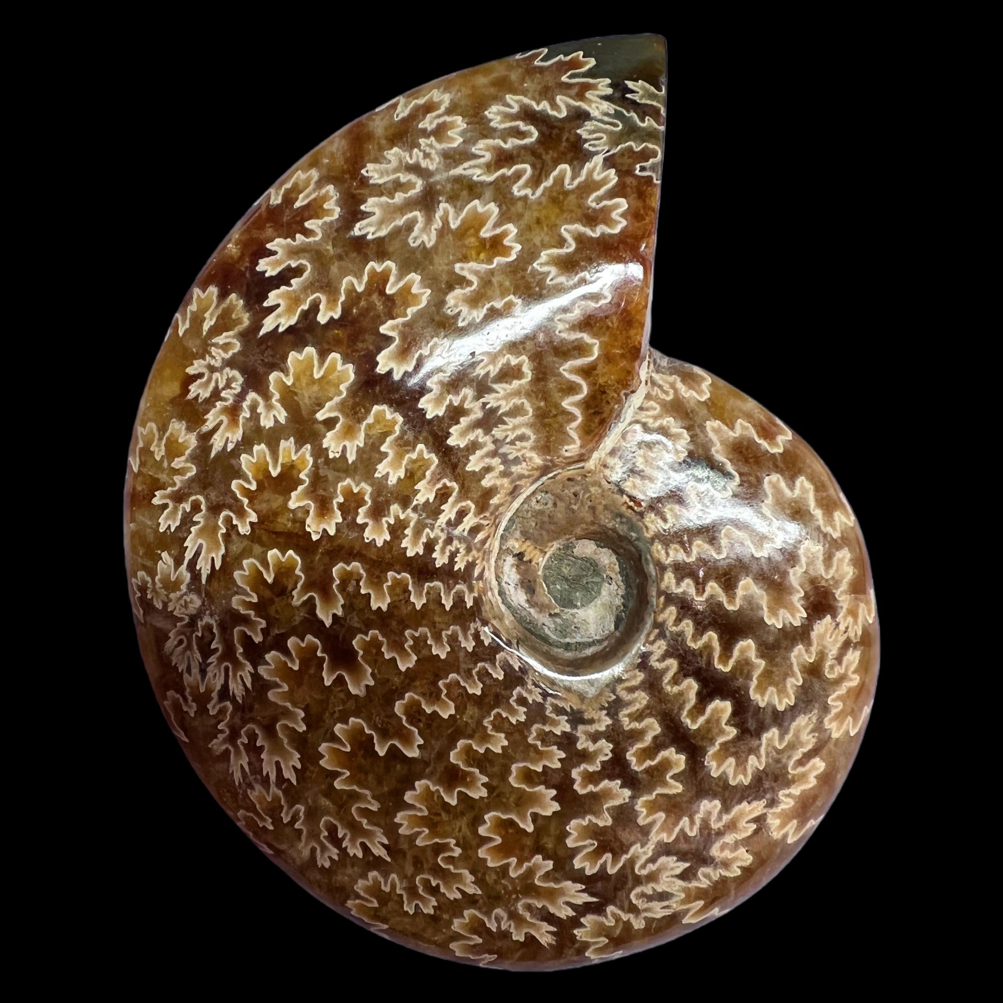 【 叶菊石（ 把件）】90.4mm 玉化 马达加斯加 N-50  创意饰品 B39
